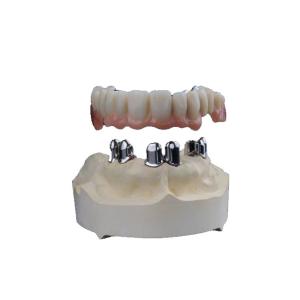 Quality Dental 3D Printed Zirconia Crowns Wear Resistant High Biocompatibility wholesale