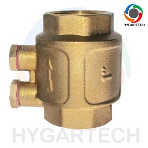 Quality Brass European Frozen Proof Check Valve With Brance Test Hole wholesale