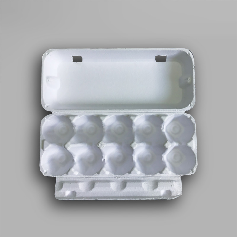 Customized Molded Pulp Packaging Recyclable Food Packing Box Biodegradable
