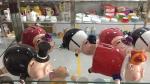 Ceramic Piggy Bank Quality Inspection Services