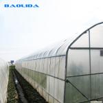 High Tunnel Agricultural Polyethylene Film Greenhouse For Tomato
