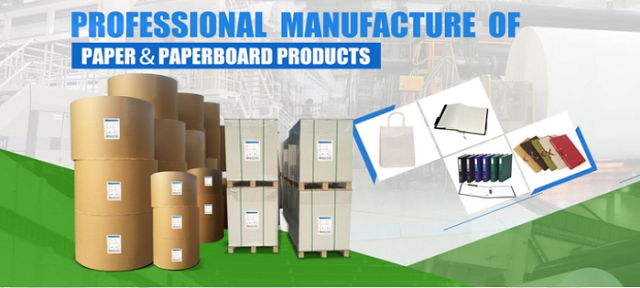 95 x 130cm 200gram 250gram White Glossy Art Paper Roll For Brochure Making