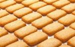 Pastry Oven Rotory Oven 32 Trays Electric Convection Oven 32 Pan Commercial