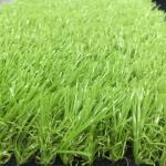 Patio Residential Commercial Natural Grass Mat 9000D Or Customized