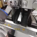 Fully Automatic 2ml 17kw Soft Gelatin Capsule Filling Machine