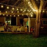 Customized Color Size LED String Light For Outdoor Festoon Garden Decoration