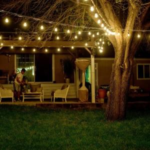 Quality Customized Color Size LED String Light For Outdoor Festoon Garden Decoration wholesale