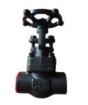 pressure 800LB ANSI standard forged globe valve
