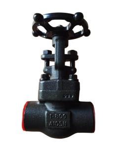 Quality pressure 800LB ANSI standard forged globe valve wholesale