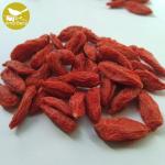 Certificated Organic Dried Goji Berries Dried Super Grade Organic Goji Wolfberry