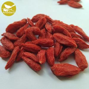 Quality Hot Sale Wolfberry Medlar High Quality Bulk Ningxia Chinese Organic Wolfberry/Goji berry/red medlar wholesale