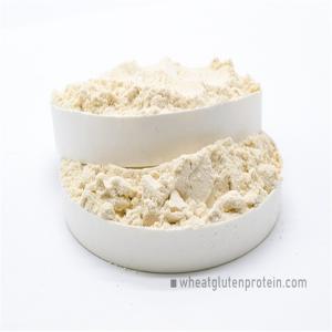 Quality Physical Extraction Cas No 8002-80-0 Dried Wheat Gluten wholesale