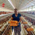 8 Tiers Steel Chicken Cage For Laying Eggs Iris