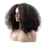 Peruvian Full Lace Human Hair Wigs Remy afro curly Wig