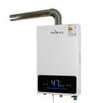 Flame Failure Protection Forced Exhaust Gas Water Heater for Industrial and