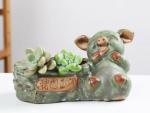 Succulent Creative Animals Cute Pig Plant Flowerpots