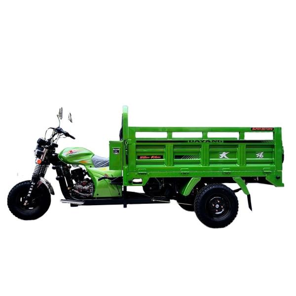 175cc Engine 800 W power DAYANG Heavy-duty Three Wheels Motorcycles for Global