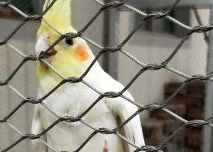 Quality Stainless Steel 304/316 Aviary Mesh Small hole flyproof Parrot Cage house fence wholesale