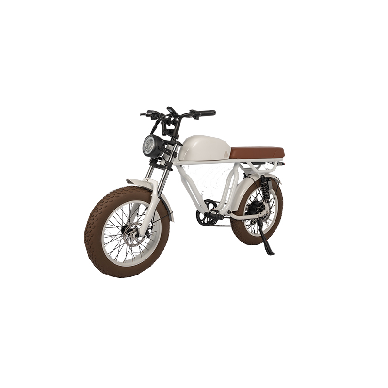 Retro Vintage E-Bike with 500W Bafang Rear Hub Motor Electric Bike OEM Wholesales Bike