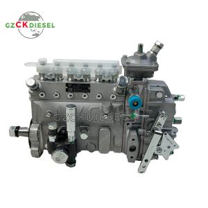 Quality Fuel Injection Pump 13053063 13053062 13022616 B6AD548G-R BH6PN120R For WP4 WP6 Engine wholesale