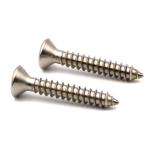 Torx Tamper Flat Head Self Tapping Screws Stainless Steel A2 304 SS Passivated