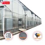 Thermostat Waterproof Plant Growing Hydroponics System Tunnel Large Greenhouses