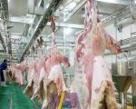 Stainless Steel 304 Slaughterhouse Cow Machine Polyurethane Rubber Hair Plucking