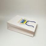 Customized Size Business Gift Shopping Paper Bag with Handle and Customized Logo