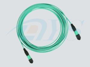 Quality 8 Fiber Singlemode MPO/MTP to SC Ribbon Ruggedized cable wholesale