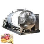 SS304 SS316 Food Vacuum Freeze Dryer Machine Vacuum Lyophilization