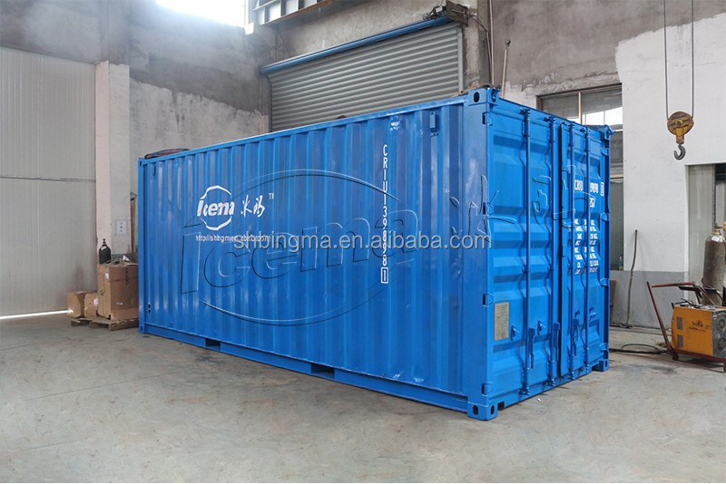 Emerson 3 Ton Directly Cooling ICEMA Containerized Block Ice Plant