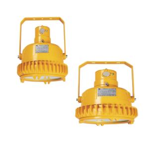 Quality HRJ Series Emergency LED Light Fittings Hazardous Location Rechargeable 30W 60W wholesale
