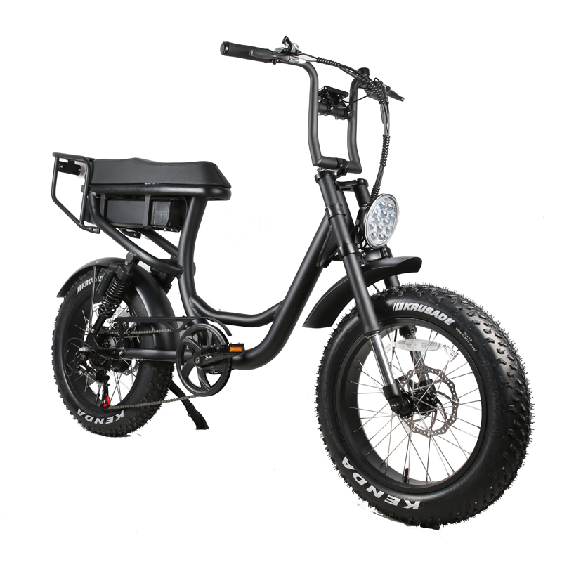 Custom 2 Seat Electric Fat Tire Bike with 15AH Battery Capacity and 20 Inch in 2023