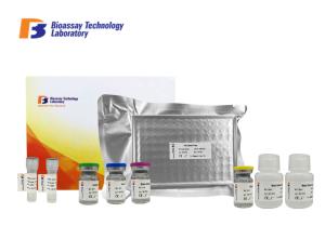 Quality Human Protein Cereblon Sandwich Immunosorbent Assay Kit For Research wholesale