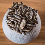 Enhance Your Snacking Experience with Natural Sunflower Seeds T5