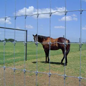 Quality Goat Farm Fixed Knot Field Fence Galvanized Stainless Steel wholesale