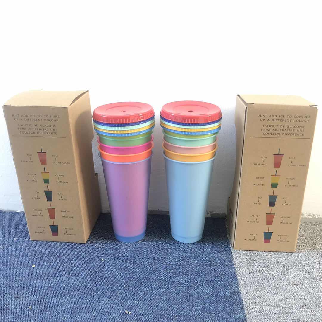 Reusable Color Changing Cold Cups Summer Magic Plastic Coffee tumbler With Straws Set of 5