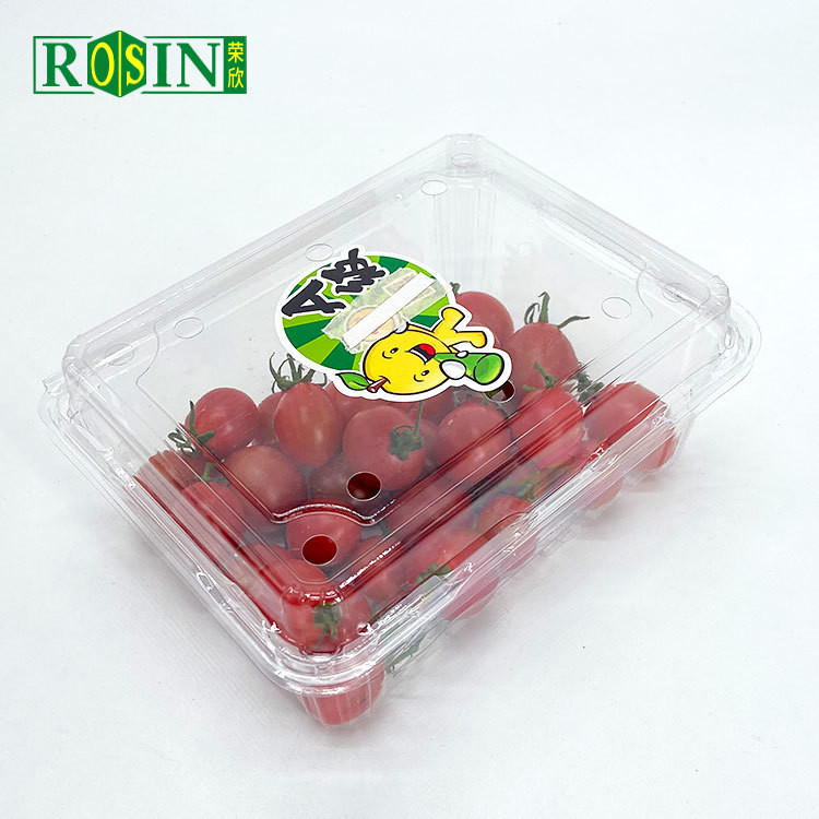 Disposable Clear PET Clamshell Hinged Lid Container Packing Supermarket Plastic Blister Fruit Salad Box With Holes