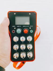 Quality Electric Hoist Industrial Remote Control wholesale