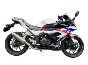Quality 300cc Street Sport Motorcycles Oil Cooled Single Cylinder Electric Six Gear Tubeless wholesale