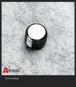 Quality G1/4 Stainless Steel ENDCAP Quick Connect Air Fittings wholesale