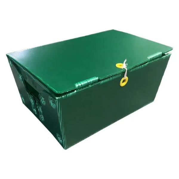 Polypropylene Postal Mail Tote Corrugated Plastic Boxes Bins Rigid Customized