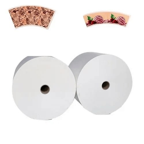 Biodegradable PLA Coated Paper Roll 150 - 350 Gsm For Food Packaging Solutions