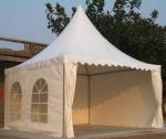 Lurury 10 x 10 Pagoda party Tent Canopy Outdoor Camping Hotel Tents