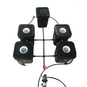 Quality Black Indoor Marijuana Hydroponic Dutch Bucket Aeroponic Grow System wholesale