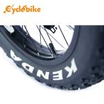 26 Inch 1000w Fat Electric Bicycle Kit 26x4.0 Kenda Tyre High Speed 50km/h