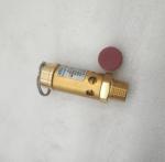 DN15 Metal Air Compressor Safety Valve Model 39588017