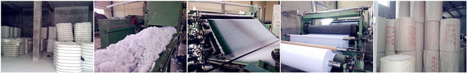 Stretched Nylon 25gsm Non Woven Fusible Interlining