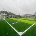 16800 Needle Artificial synthetic Turf Fadeless No Infill Football Grass