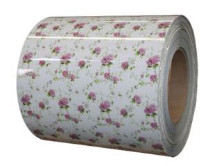 Quality Q195 Color Prepainted Galvanized Steel Coil PPGI Colour Coated Sheet ASTM A 755 wholesale